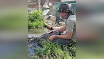 Alligator made famous in ‘Happy Gilmore’ dies at more than 80 years old